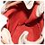 Borsa a mano Salvatore Ferragamo in pelle rossa argento Auth 149839 Rosso - vista 19