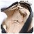 FENDI Zucca Canvas Handtasche Schwarz Silber Auth 166172 - Ansicht 19