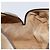Gucci Borsa Boston GG Plus Supreme in PVC beige e oro Auth 166725 D'oro - vista 20