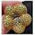 Autre Marque Lorenz Bäumer Paris Bell Pepper Ring Golden Yellow  - view 13