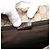 Borsa a tracolla Gucci GG Supreme Web marrone Beige - vista 6
