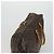 LOUIS VUITTON Borsa Boston Monogram Sirius 50 M41406 LV Auth bs33061 Monogramma - vista 6