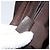 Borsa a Spalla GG Canvas Gucci Beige Argento 122790 Auth 169102 - vista 12