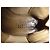 Stivaletti Sartore Beige in Camoscio - vista 8