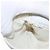 CHANEL Bauchtasche aus Lammleder Gold Weiß CC Auth bs33133 Golden - Ansicht 23