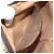 Borsa Sherry Line GG Supreme Web di GUCCI in PVC beige e oro 904 02 047 Auth BA9941 D'oro - vista 11
