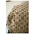 Borsa Speedy Louis Vuitton Monogramma Strisce Beige - vista 15