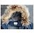 Parka Felton Isabel Marant Etoile Blu Navy Cotone - vista 6