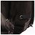 Borsa a Spalla PRADA in Nylon Marrone Argento Autentica ep13123 - vista 21