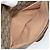 Borsa Sherry Line GG Supreme Web di GUCCI in PVC beige e oro 89 02 077 Auth BA10130 D'oro - vista 23