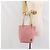 FENDI Zucchino Canvas Tote Bag Pink Silber Auth 170255 - Ansicht 23