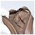 Sac Sherry Line GG Supreme Web Gucci PVC Beige Or 007 58 6112 Auth 170700 Doré - vue 11