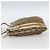 Borsa a Spalla Gucci GG Canvas Sherry Line Beige Oro 144388 Auth 163466 D'oro - vista 3