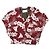 Autre Marque 77circa × Ray BEAMS camicia in tessuto vintage Rosso