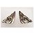 Christian Dior Orecchini in argento sterling a forma di ali d'angelo - vista 5
