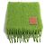 Sciarpa in mohair con frange Anagram LOEWE Verde
