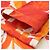 Autre Marque Chaqueta de algodón con motivo floral Dries Van Noten Naranja - vista 12