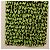 Sciarpa Monogram Graffiti Verde LOUIS VUITTON LV Auth am10736SV - vista 10