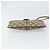 Borsa Sherry Line GG Supreme Web di GUCCI in PVC beige e oro 68 02 047 Auth 172006 D'oro - vista 10