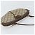 Borsa Sherry Line GG Supreme Web di GUCCI in PVC beige e oro 904 02 047 Auth 171964 D'oro - vista 6
