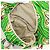 GUCCI Zaino The North Face in nylon verde argento 650294 Auth 170794SAM - vista 26