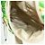 GUCCI Zaino The North Face in nylon verde argento 650294 Auth 170794SAM - vista 27