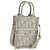 Mini borsa Tote da libro Trotter in tela obliqua Christian Dior bianco oro Auth 170699M D'oro