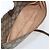 Borsa Gucci GG Supreme Web Sherry Line in PVC Beige Rosso 89 02 032 Auth ti3672 - vista 23