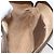 GUCCI GG Supreme Web Sherry Line Tasche aus PVC Beige Rot 904 02 047 Auth ti3671 - Ansicht 19
