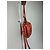 Chloé Vintage Chloe 2Way Lederhandtasche rot - Ansicht 13