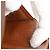 Cartera Larga Brazza Monograma Marrón Louis Vuitton Castaño - vista 6