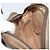 Borsa Sherry Line GG Supreme Web di GUCCI in PVC beige e oro 89 02 066 Auth bs33336 D'oro - vista 20