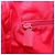 Borsa Tote PRADA in nylon plastico rosso Auth ti3740 - vista 21