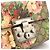 Borsa a Spalla Gucci Padlock GG Supreme Beige - vista 8