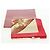 Sciarpa in seta rossa Salvatore Ferragamo Auth BA10535V Rosso - vista 12