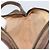 Bolsa Sherry Line GG Supreme Web da GUCCI em PVC bege e dourado 116 02 089 Auth 172071 - vista 20