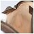 Bolsa Sherry Line GG Supreme Web da GUCCI em PVC bege e dourado 116 02 089 Auth 172071 - vista 21