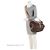 Bolso mensajero Saumur 35 en lona monograma vintage Louis Vuitton Castaño - vista 5