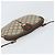 Borsa Gucci GG Supreme Web Sherry Line in PVC Beige Oro 904 02 047 Auth BA10402 D'oro - vista 6