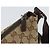 Borsa a Spalla GG Canvas Gucci Beige Argento 145857 Auth 169859 - vista 10