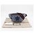 Marsupio per bambini Gucci Star Blu - vista 8