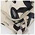 CHANEL Borsa Tote Canvas Bianca Argento CC Auth 170892 Bianco - vista 12