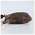 Borsa a Spalla PRADA in Tela Marrone Oro Auth 172166 D'oro - vista 5