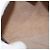 Bolsa Sherry Line GG Supreme Web da GUCCI em PVC bege e dourado 68 02 004 Auth 169630 - vista 19