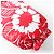 Chaqueta de nylon acolchada Prada SGC025 Blanco Roja - vista 6