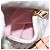 LOUIS VUITTON Schultertasche Speron BB Damier Azur N44026 LV Auth 97791SAM - Ansicht 38