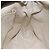 Borsa a Spalla GG in Tela Gucci Nylon Nero Argento 308840 Auth ep13242 - vista 19