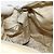 Borsa a Spalla PRADA Nylon Avorio Argento Autentica ep13428 Crudo - vista 19