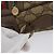 Borsa a Spalla Gucci GG Supreme Web Sherry Line PVC Beige Oro Auth 172270 D'oro - vista 6
