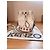Sac seau en cuir blanc Kenzo - vue 2